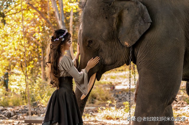 自由行老挝陆地口岸入境全攻略！超级简单！手把手教你快速通关！