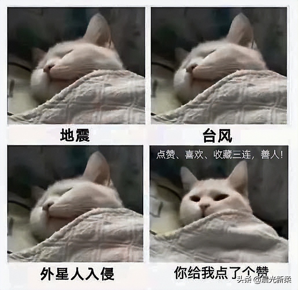 家用打印机性价比最高的一款推荐,家用打印机便宜又好用求推荐