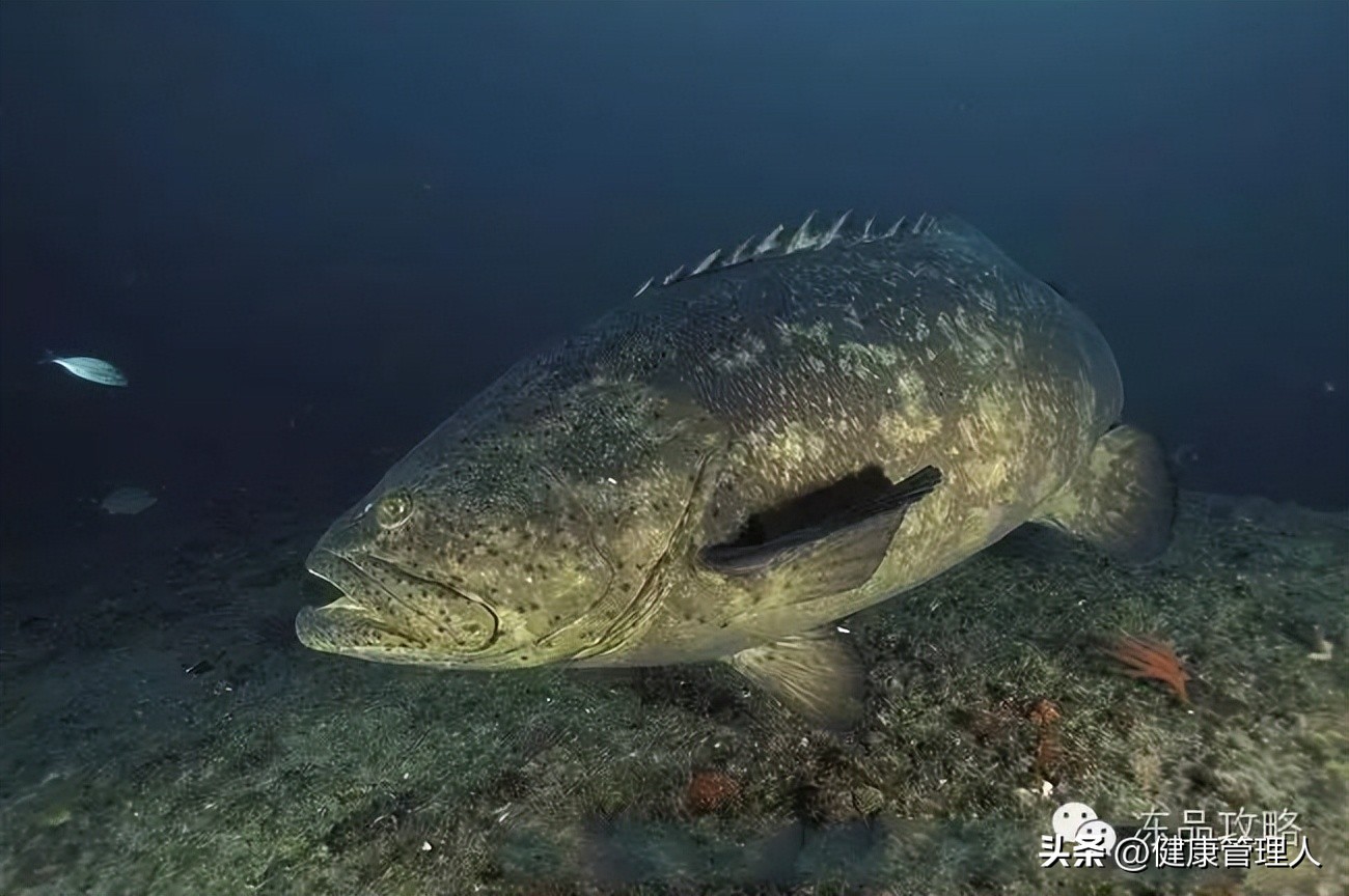 美容护肤食疗方案,美容护肤养生介绍