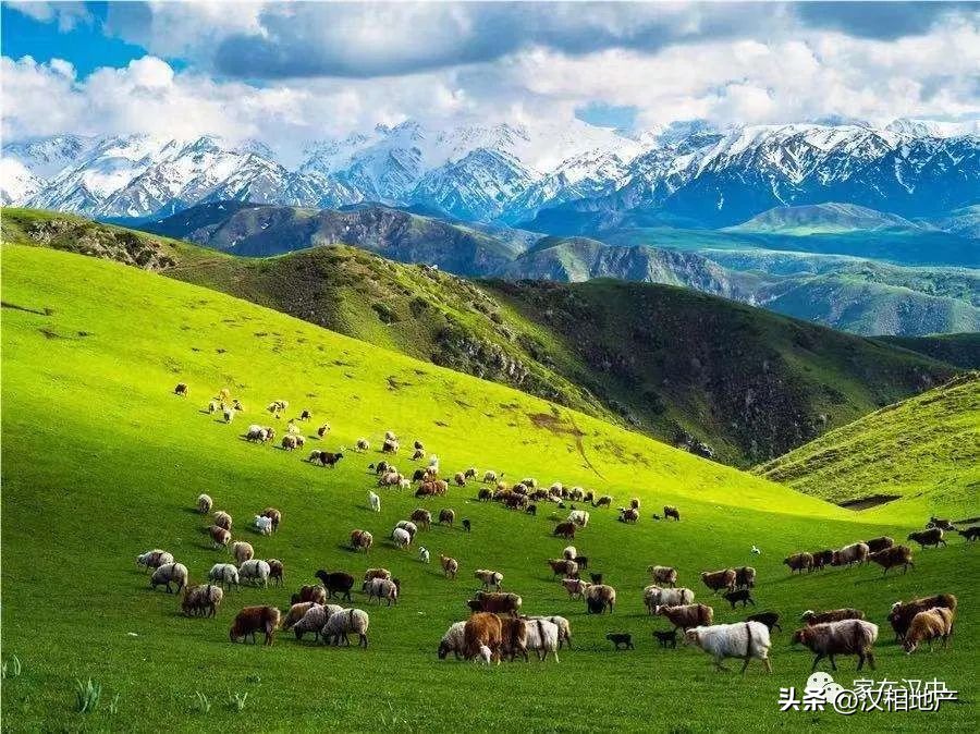 西安的省份简称是什么,西安的简称叫什么名字