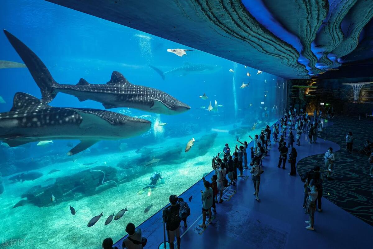 珠海长隆旅游景点攻略,珠海斗门旅游攻略景点必去免费的