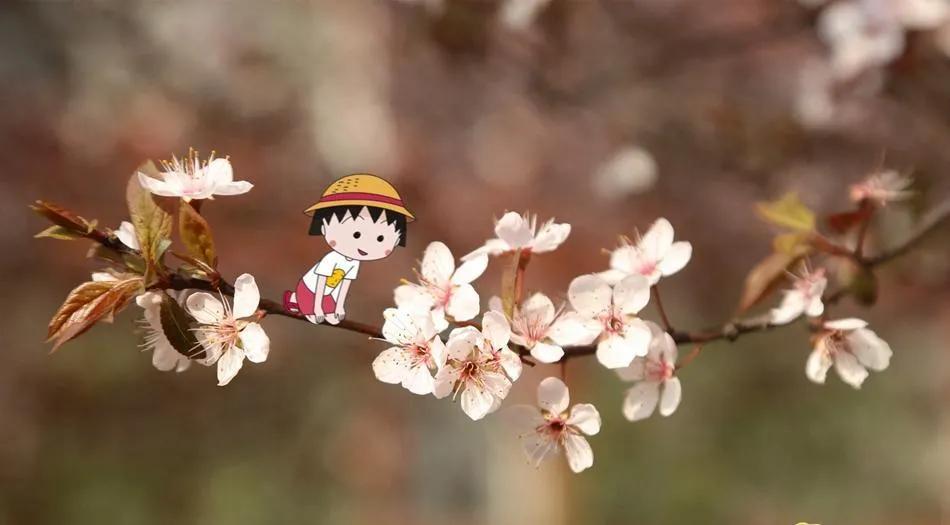 小众惊艳的成语,小众却惊艳的三字成语