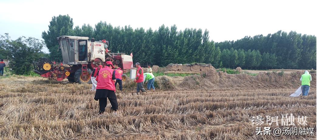 【汤阴民政：治理创新】社工暖人心协力助“三夏”
