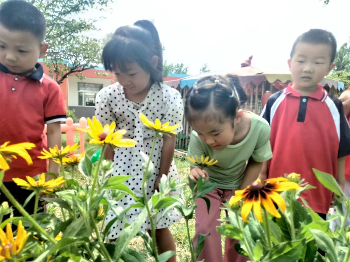 盛夏如花、向阳如初--道朗镇鱼池幼儿园赏花集锦