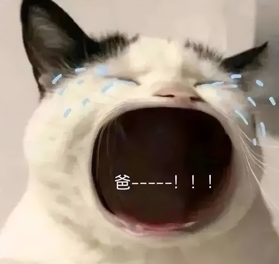 微信过年红包上限,微信什么时候取消红包限制