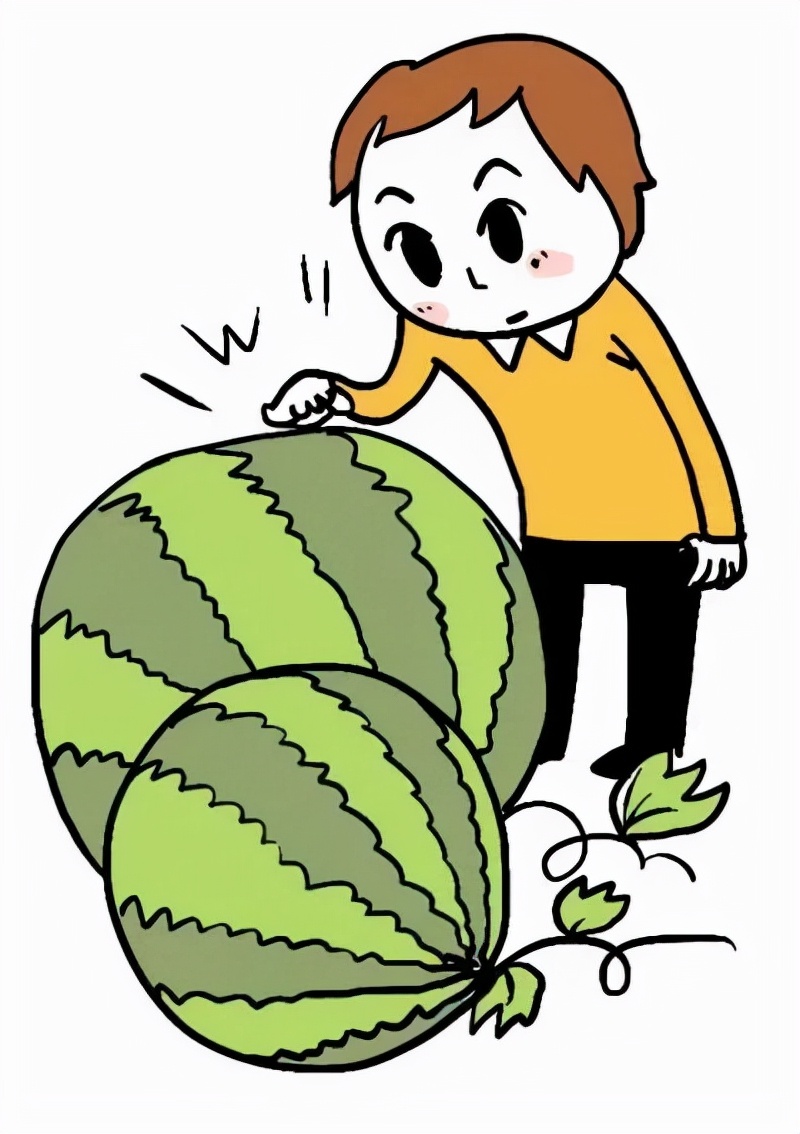 买瓜说瓜甜,买瓜小视频