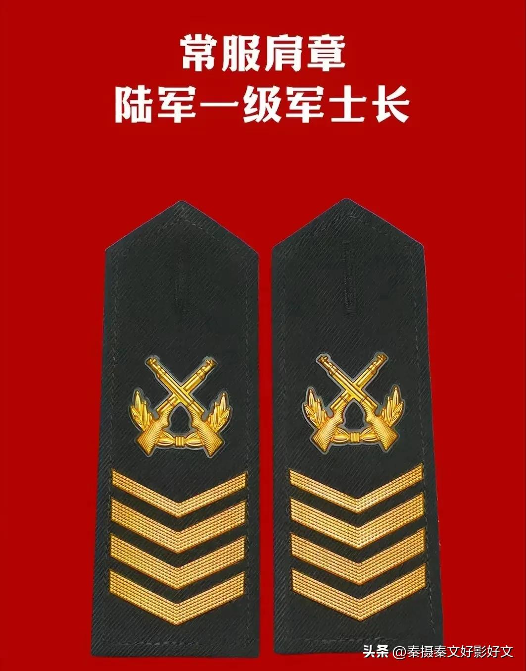 陆海空火箭军*警武**部队全套常服肩章和21式作业服套式肩章