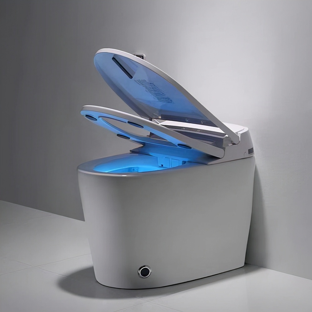 智能马桶不冲水小窍门,智能马桶的十大忠告