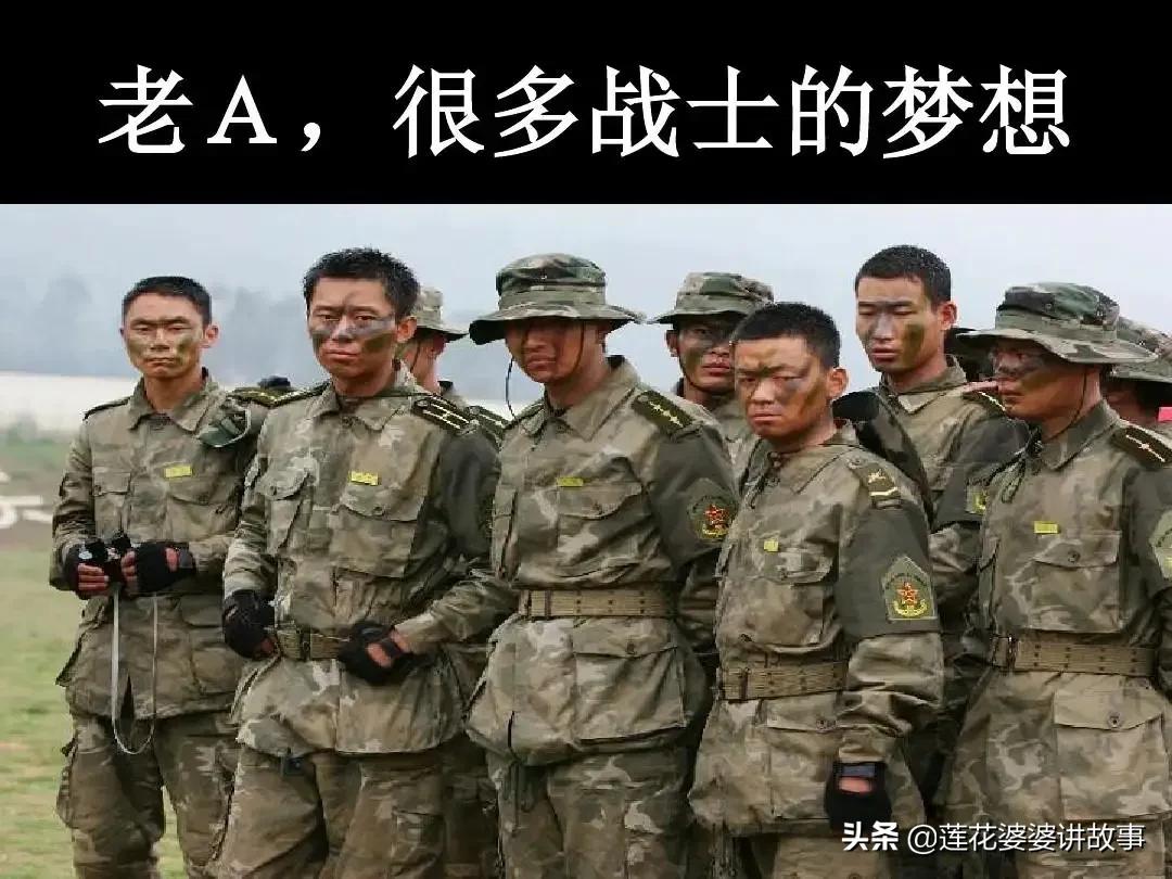 推荐20部百看不厌大剧,推荐三十部经典电视剧