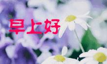 9月27日的早安心语及图片,2022年9月6日早安心语及图片