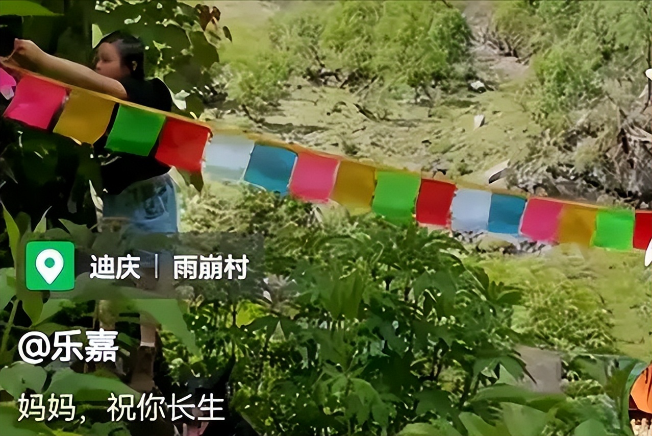 乐嘉为什么退娱乐圈,乐嘉退出娱乐圈5年现状