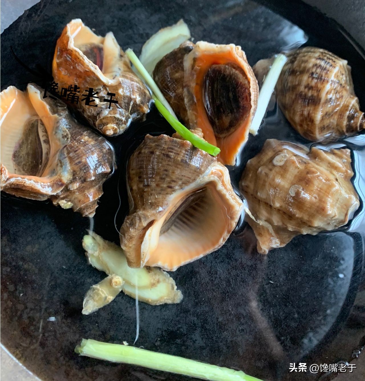 5种当季海鲜价格便宜营养好,海鲜正当季6月必吃的10大海鲜