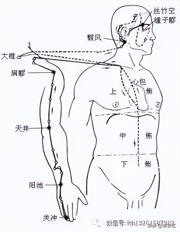 李铁红怎么调理脾胃,三焦不通在哪放血
