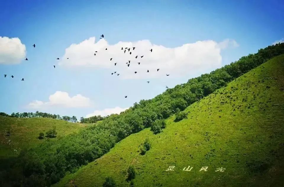 最适合发呆和看星星的民宿,京郊观星乡村民宿推荐