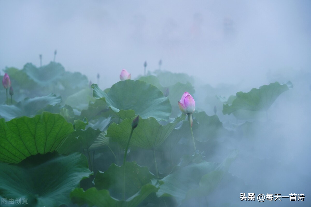 头条上的诗词小组,头条诗词交流小组