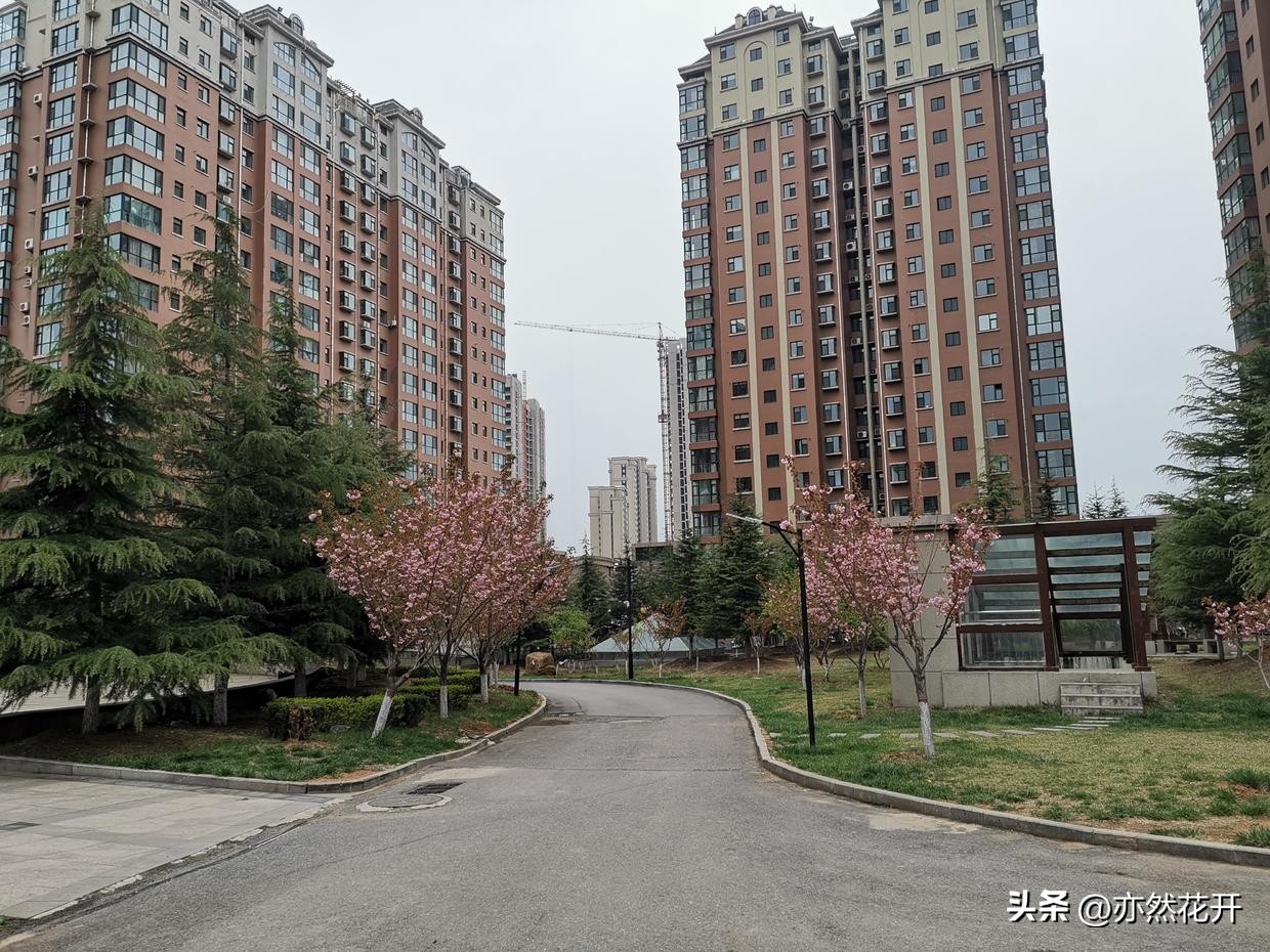 公文中的申请如何写,职场写申请邮件怎么写