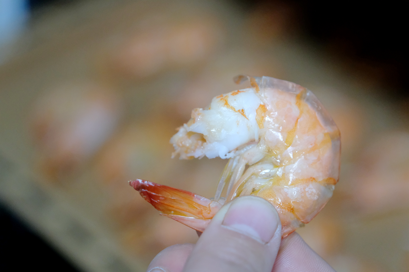 长帝猫小易烤箱,猫小易pro烤箱测评