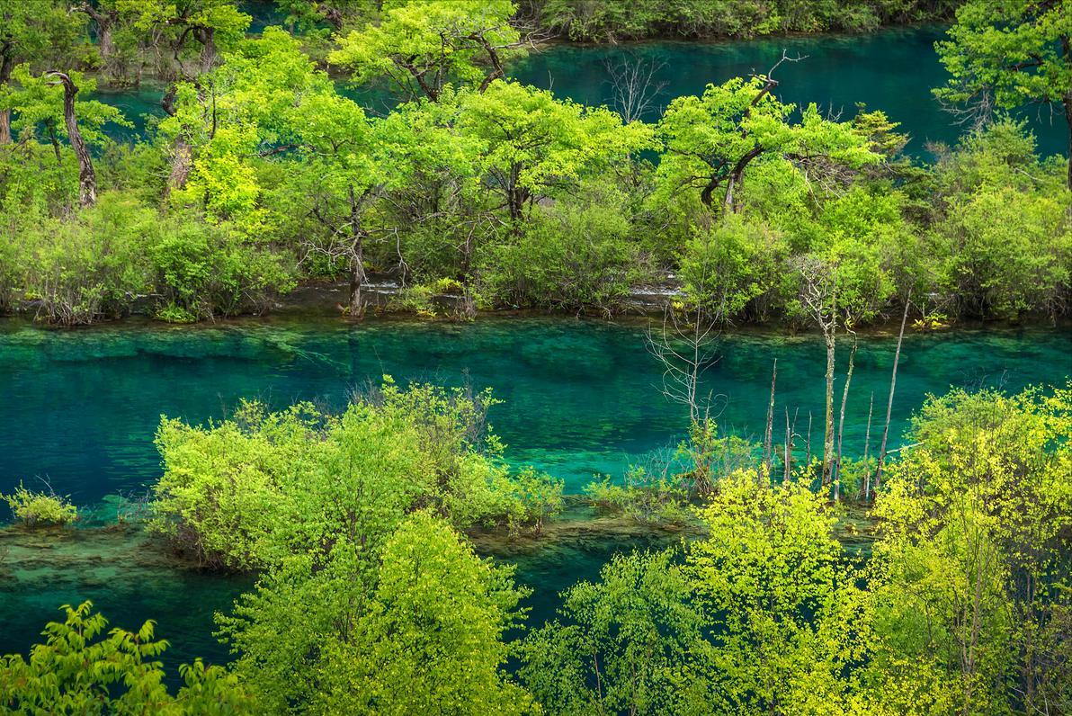 四川的九寨沟旅游攻略图文,四川九寨沟旅游攻略最佳路线