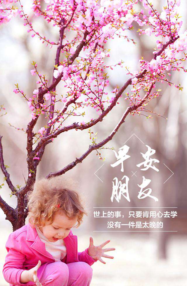 早安祝福语唯美短信,暖心清晨早安问候祝福语录短信