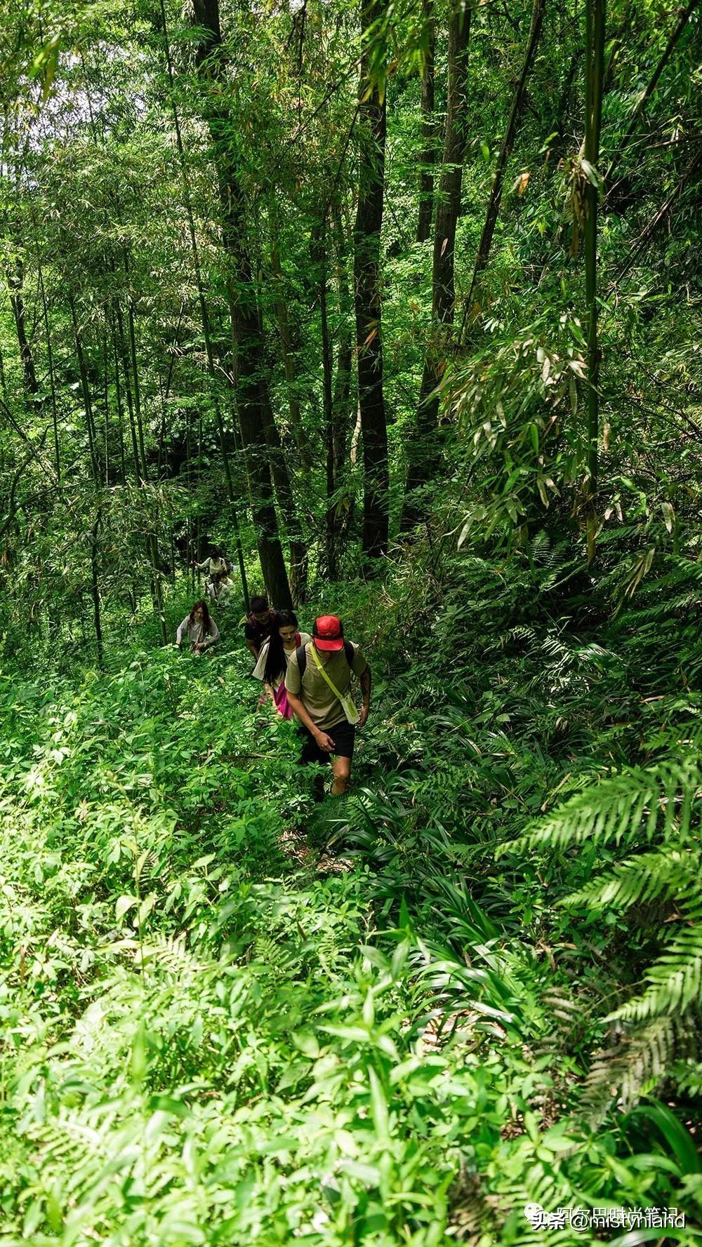 KOLONSPORT可隆,如何以一场山林徒步开启成都市场?