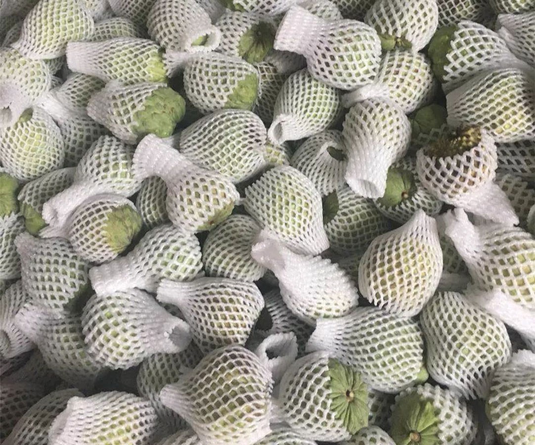 水果滞销中国解决,台湾凤梨释迦滞销原因