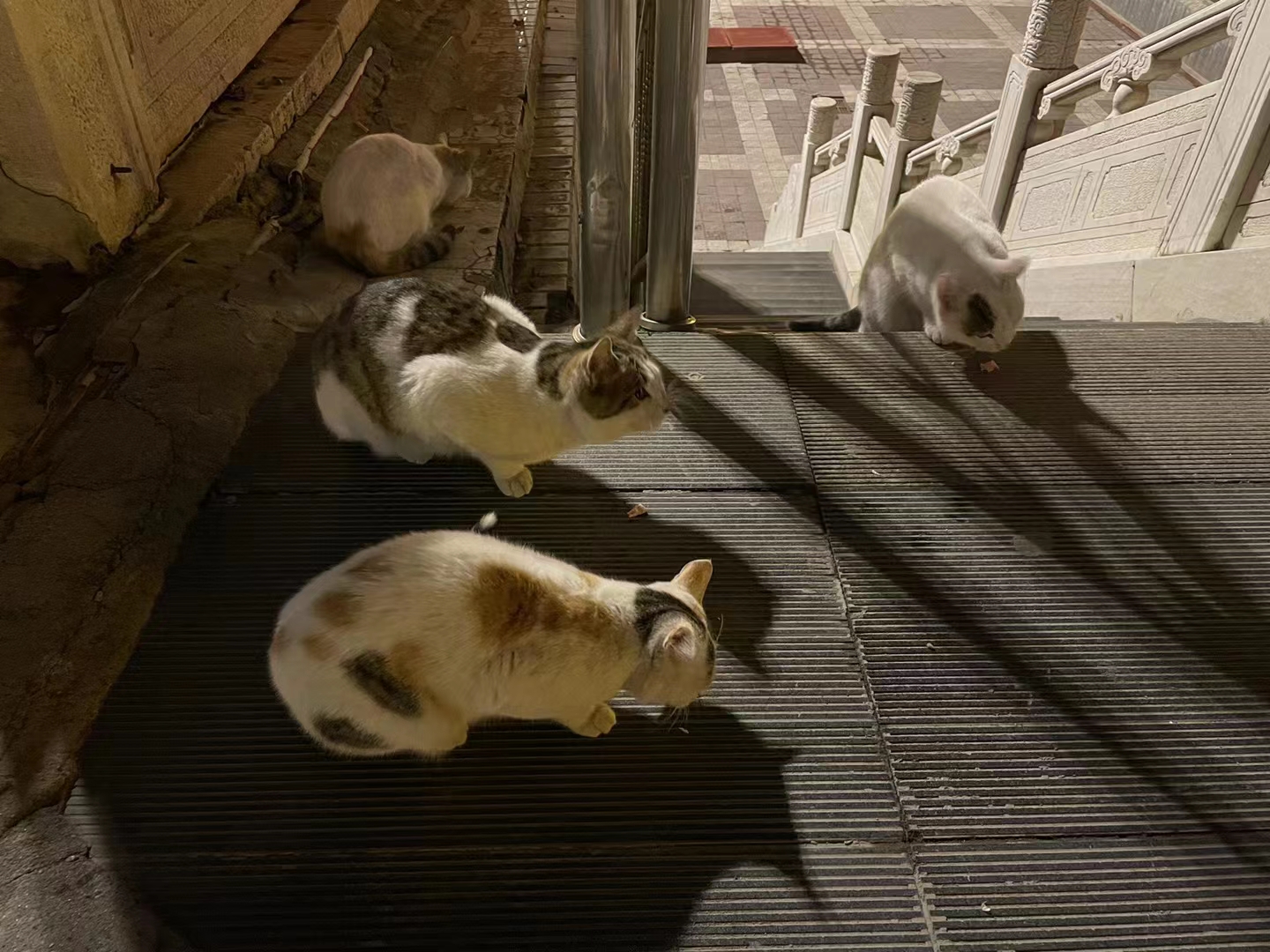 咸阳2天的短途旅游,咸阳出发三日穷游攻略