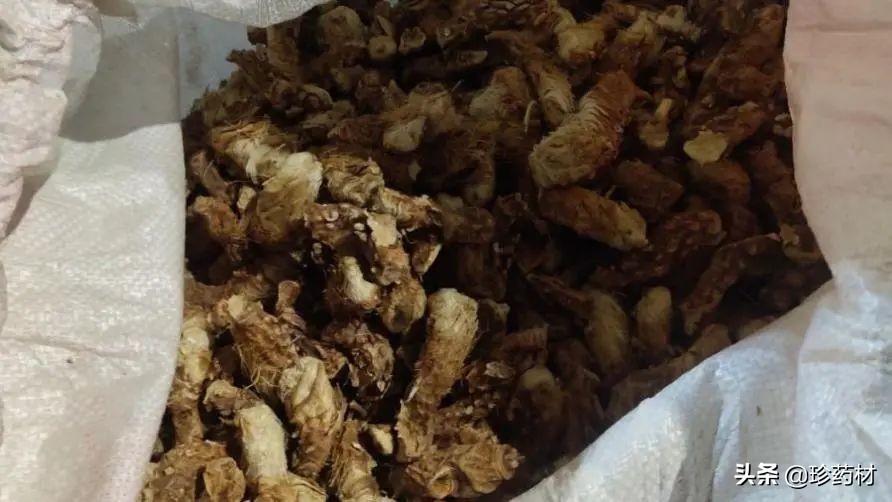 12月27日中药材市场快讯：连翘、柴胡、山楂、僵蚕、板蓝根、菊花