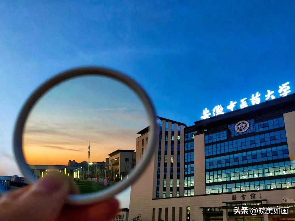 安徽大学好看的风景,高校最美秋景