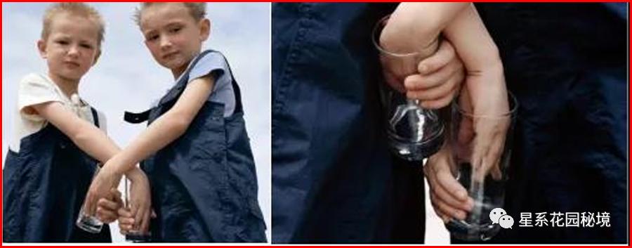 比人教版插图更恐怖的书,比人教版插图还怪异的书