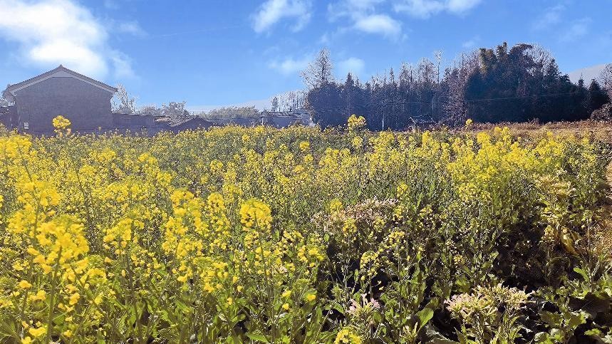 十一月云南旅游攻略腾冲 (从云南腾冲看云南旅游攻略)