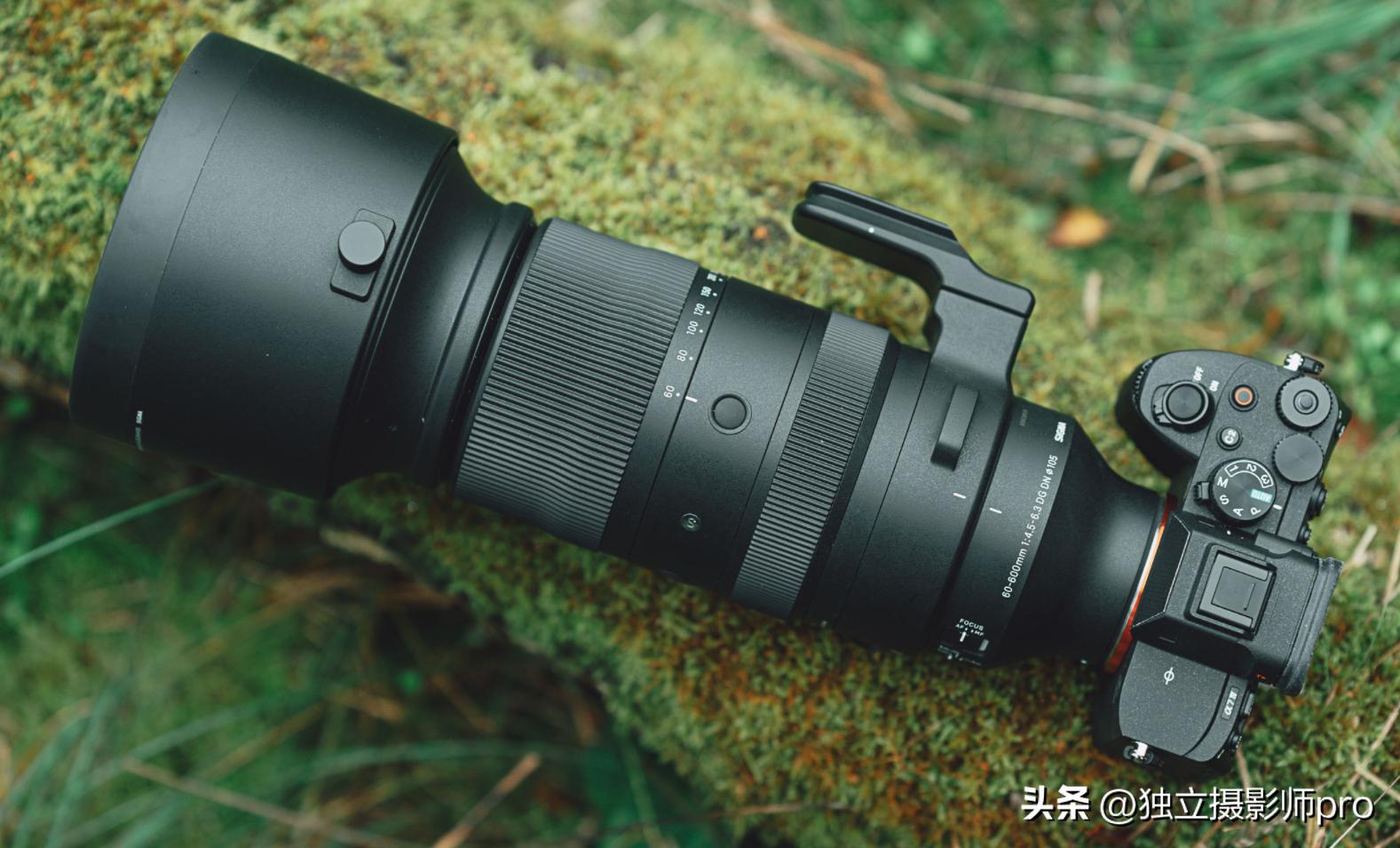 独立摄影师日常,独立摄影师直播