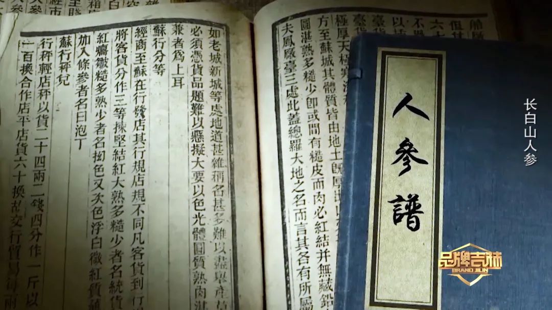 吉林长白山人参东北特产新鲜人参,官方旗舰店正宗长白山人参