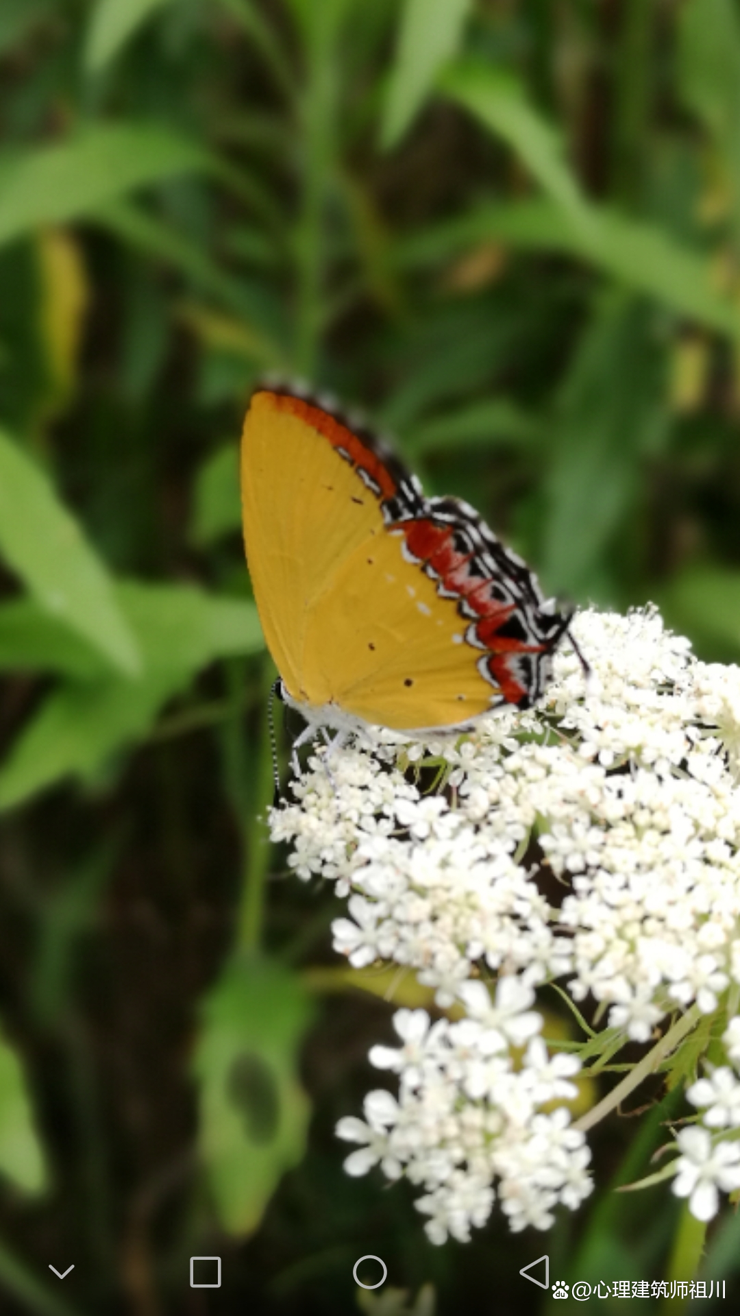 我是怎样走出抑郁症的,我是如何走出抑郁的刘聪