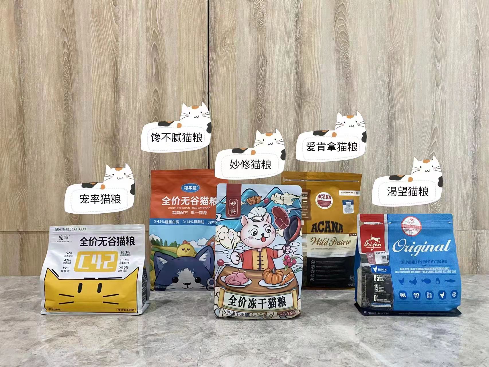 吐槽养宠物的人,为啥不建议养缅因猫