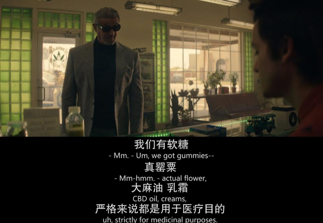 史泰龙的电影黑帮片,史泰龙最近拍的黑帮片叫什么名字