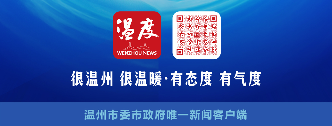 上海申花张玉宁2002,张玉宁上海申花比赛