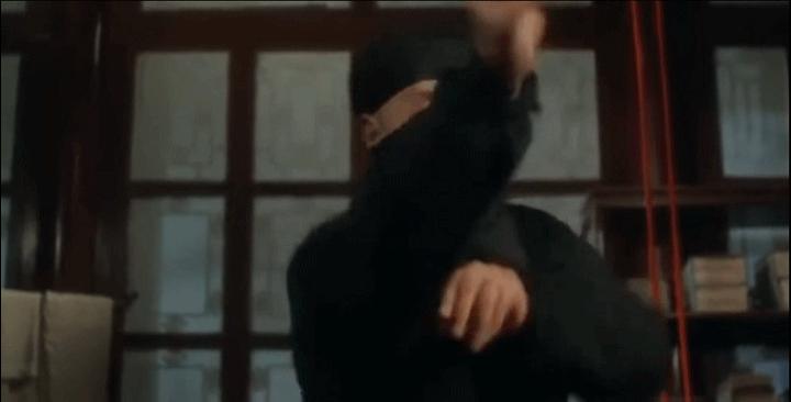 螳螂拳大师于海照片,螳螂拳于海李连杰