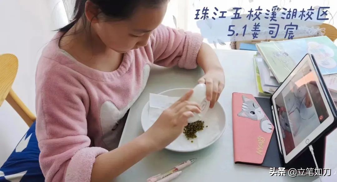 珠江五校滦河校区教育集团,珠江五校教育集团阅读文化节