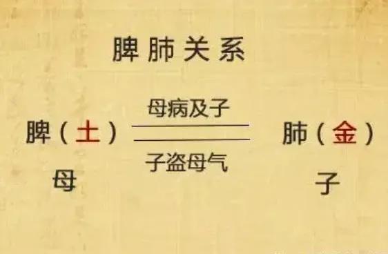 前列腺增生，一方补脾肺之气，打通上下焦，让膀胱畅通无阻