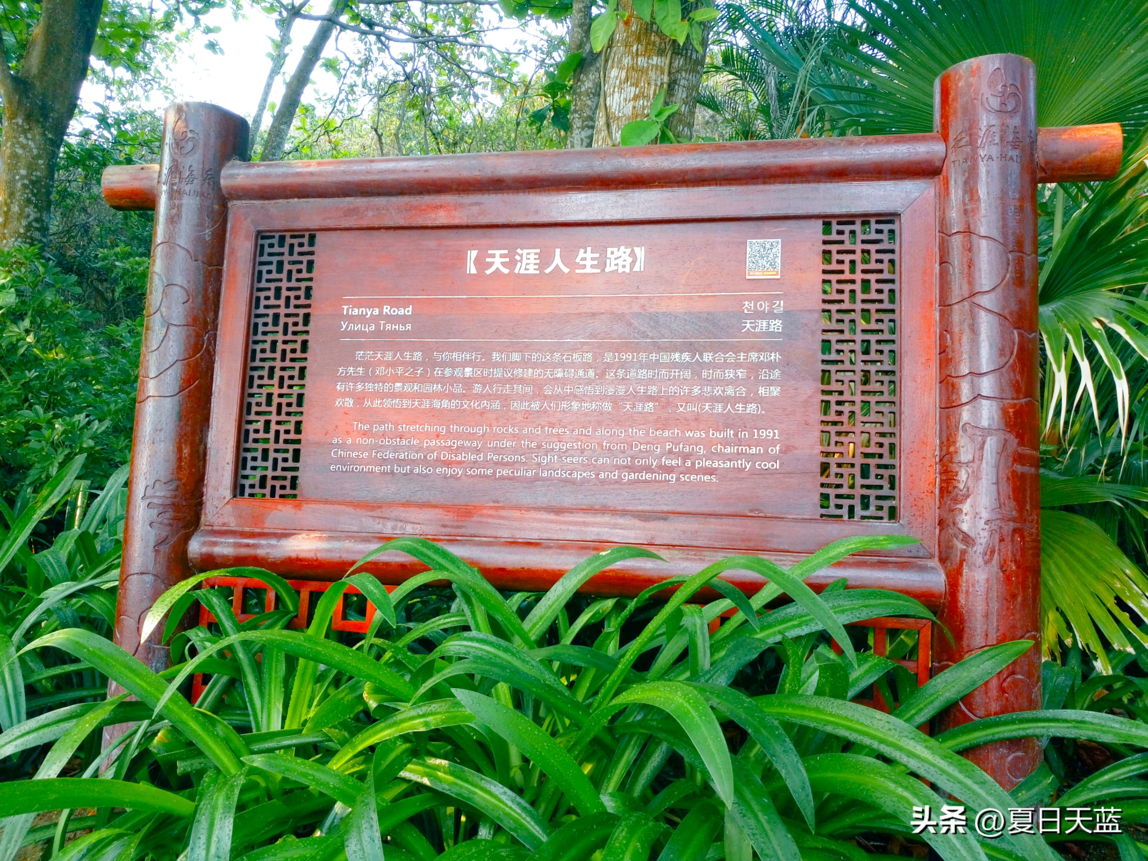 三亚度假最佳选择,三亚度假正确打开方式