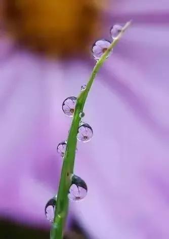 走在乡间的小路上,走在乡间的小路上口哨版