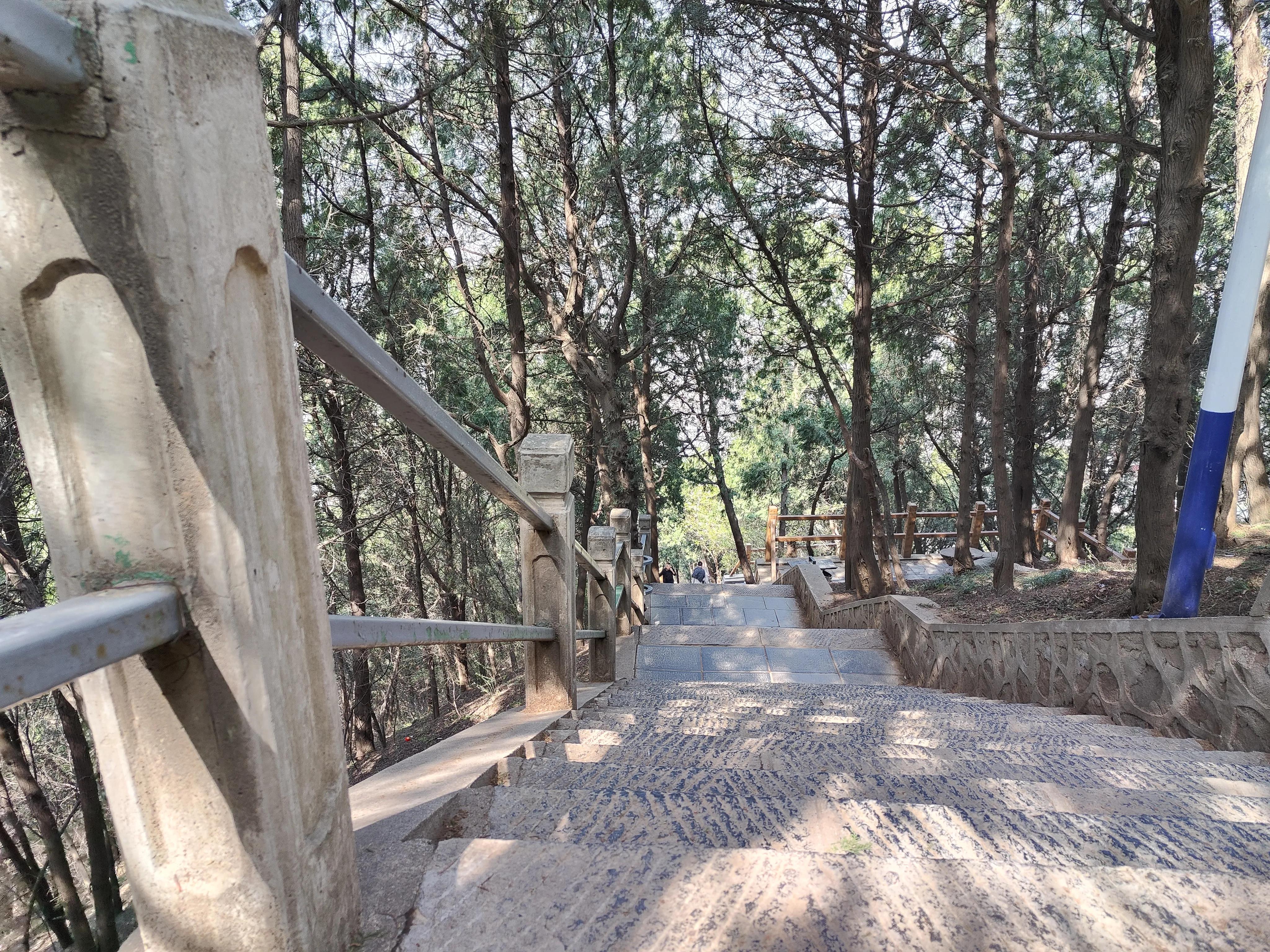 西安亲子旅游排行榜前十名,西安旅游全攻略带孩子自由行