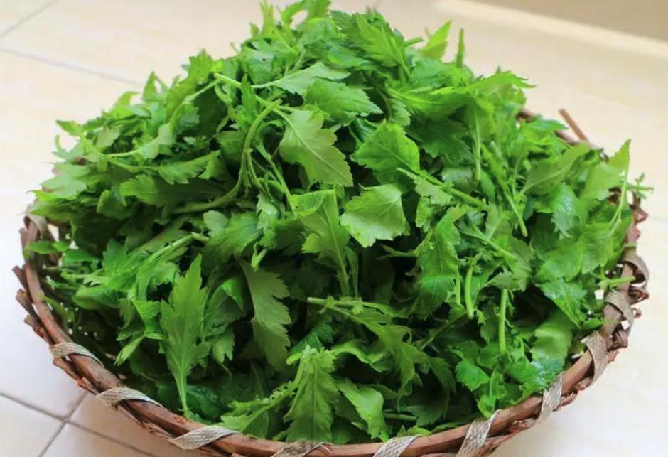 南京人的春季美食清单,南京春天吃什么菜最好