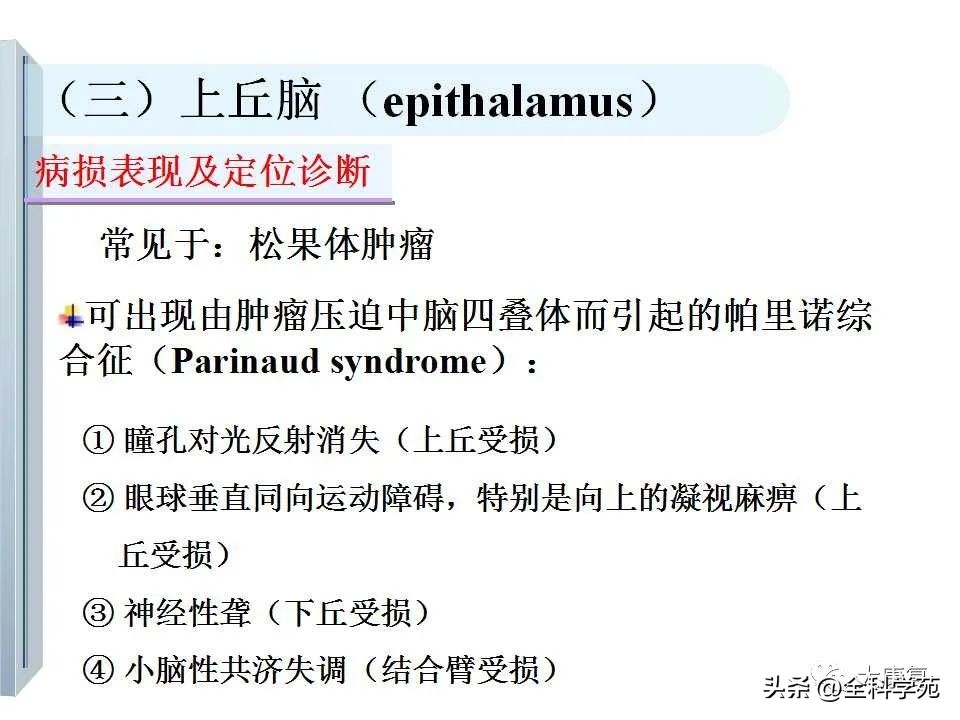 神经系统的影像与解剖定位,最全神经解剖图