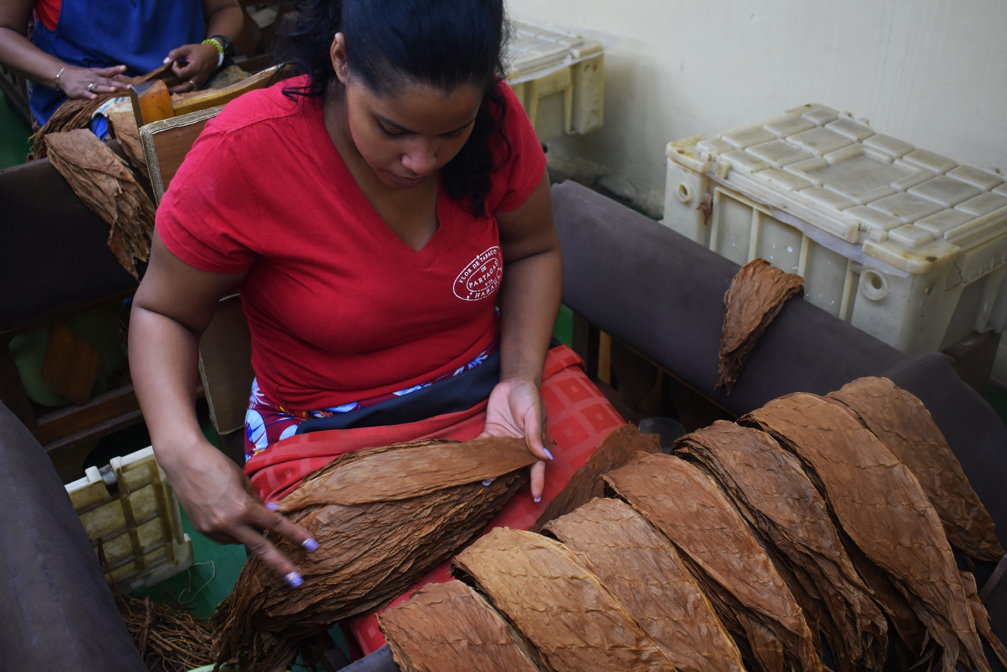 一般抽雪茄多少钱一支,几千万的身价能抽得起雪茄几年