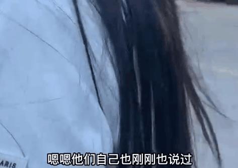 宠物托运出意外谁负责,宠物托运出问题是谁的责任