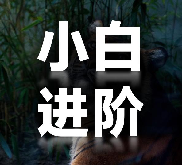 新手怎么做一份简单的PPT报告,ppt数据分析报告