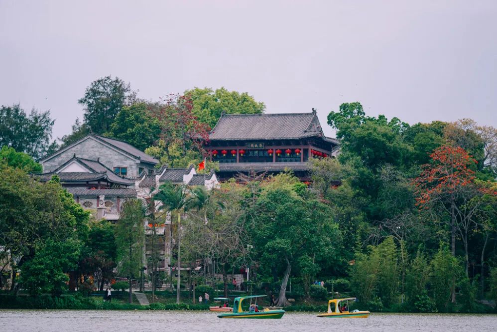 惠州带娃踏青好去处,惠州清明免费踏青好去处