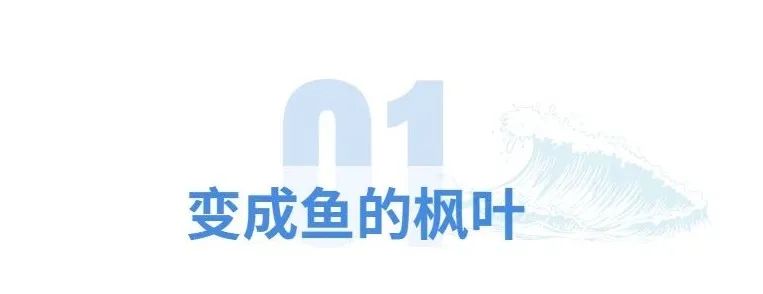 无穷小亮的科普日常海洋生物,无穷小亮的科普日常美丽的海洋25