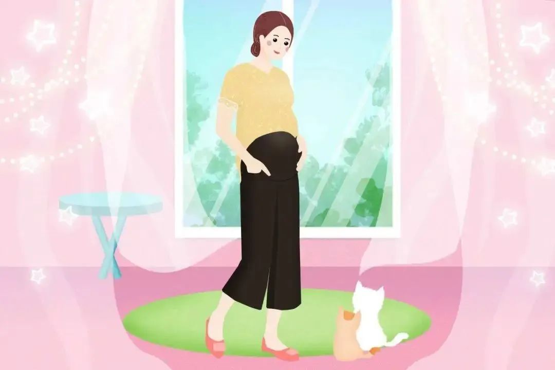 试管取完卵对卵巢有多大伤害,试管婴儿取完卵怎么调养身体